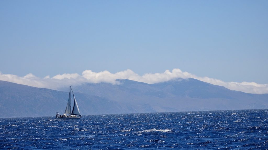 mistral-gagnant-damien-et-agnes